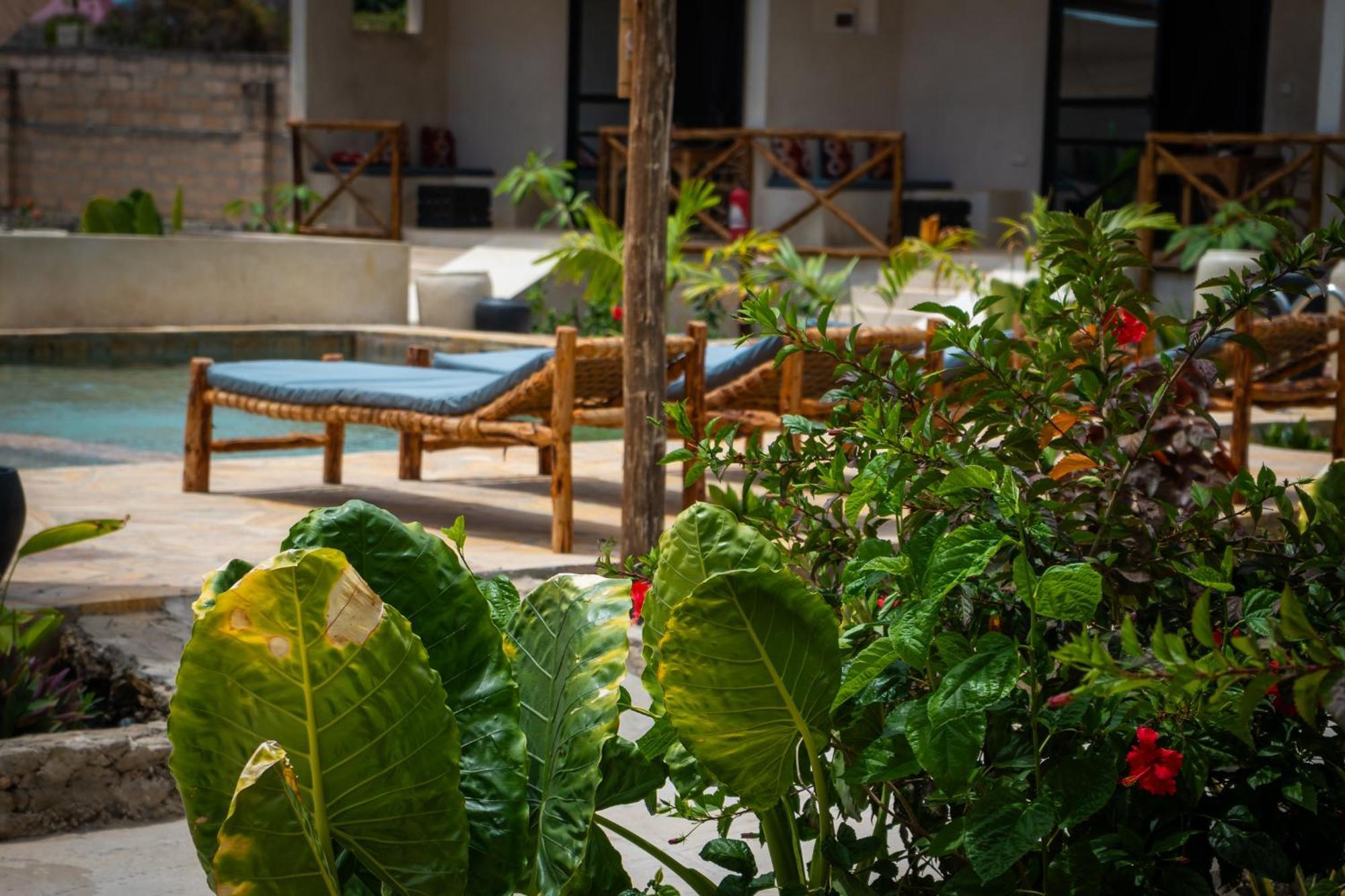 Blooming Zanzibar Hotel Jambiani  Buitenkant foto